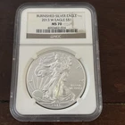 2013-W Burnished American Silver Eagle NGC MS70