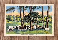 Vintage Postcard West Virginia WV Mannington Marion County Farming
