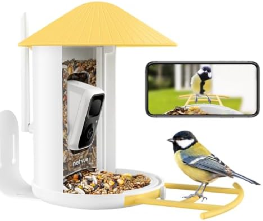 NETVUE by Birdfy Mangiatoia per uccelli con fotocamera, mangiatoia per uccelli c