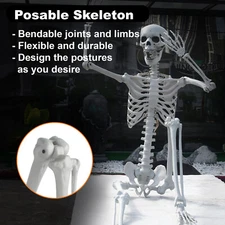  6FT Halloween Skeleton Life Size Posable Realistic Full Body Bone Skeleton Prop