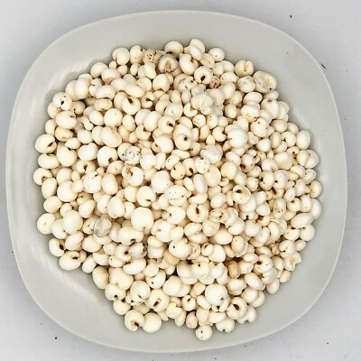 Greenlike Fried Job's Tears Coixseed Semen Coicis 熟薏米