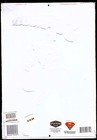 Amazing New Adventures of Superman DC No. 233, Metal Sign 10x14" NIP, Kryptonite — photo 2
