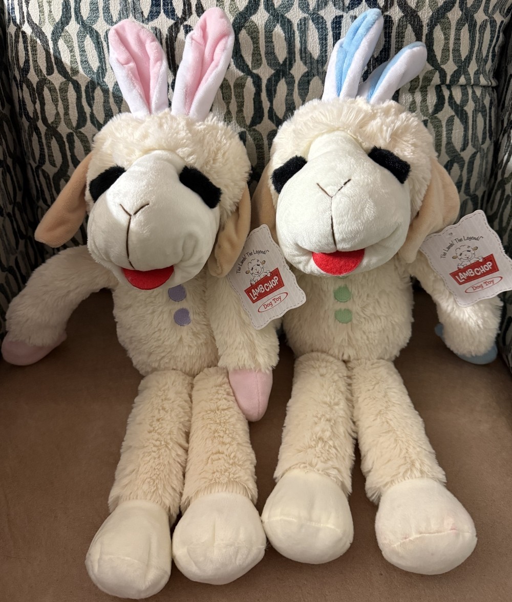 LOT 2 - 20" Multipet Lamb Chop Easter Plush Squeaker 2022 Dog Toy Stuffed Animal