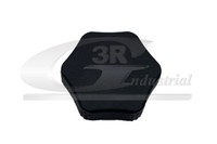 Stellelement Sitzverstellung 3RG 69644 FüR Renault Clio 3 BR0 CR0 Megane DZ0 BZ0