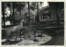 1990 Press Photo Lawn ornaments of Larry and Mary Bertzyk, of Wautoma