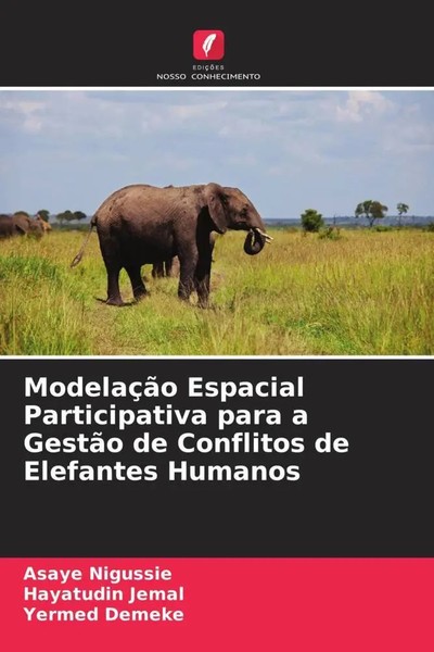 Asaye Nigussie (U. A.) | ModelaçãO Espacial Participativa Para A GestãO De...-image
