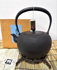 Nambu Fujieda Kobo Masayuki Iron Kettle 15cm with Box Accessories
