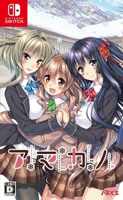 JAPAN) Nintendo Switch video game Amakano [Limited] A4 clear file