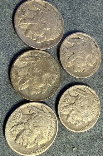 1927-1937 Buffalo 5c Nickels Lot of 5