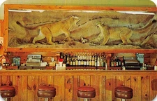 Saratoga Wyoming Charlie's Rustic Bar, Photochrome Vintage Postcard U12962