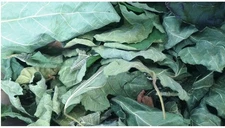 Whole Fig Leaves California Sun Dried Organic Herb Tea Cooking Non-GMO 5.6 oz.