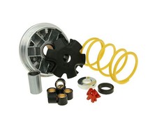 Variomatik MALOSSI Multivar kompatibel für HONDA Lead SH Scoopy 50 2T AC 84-96