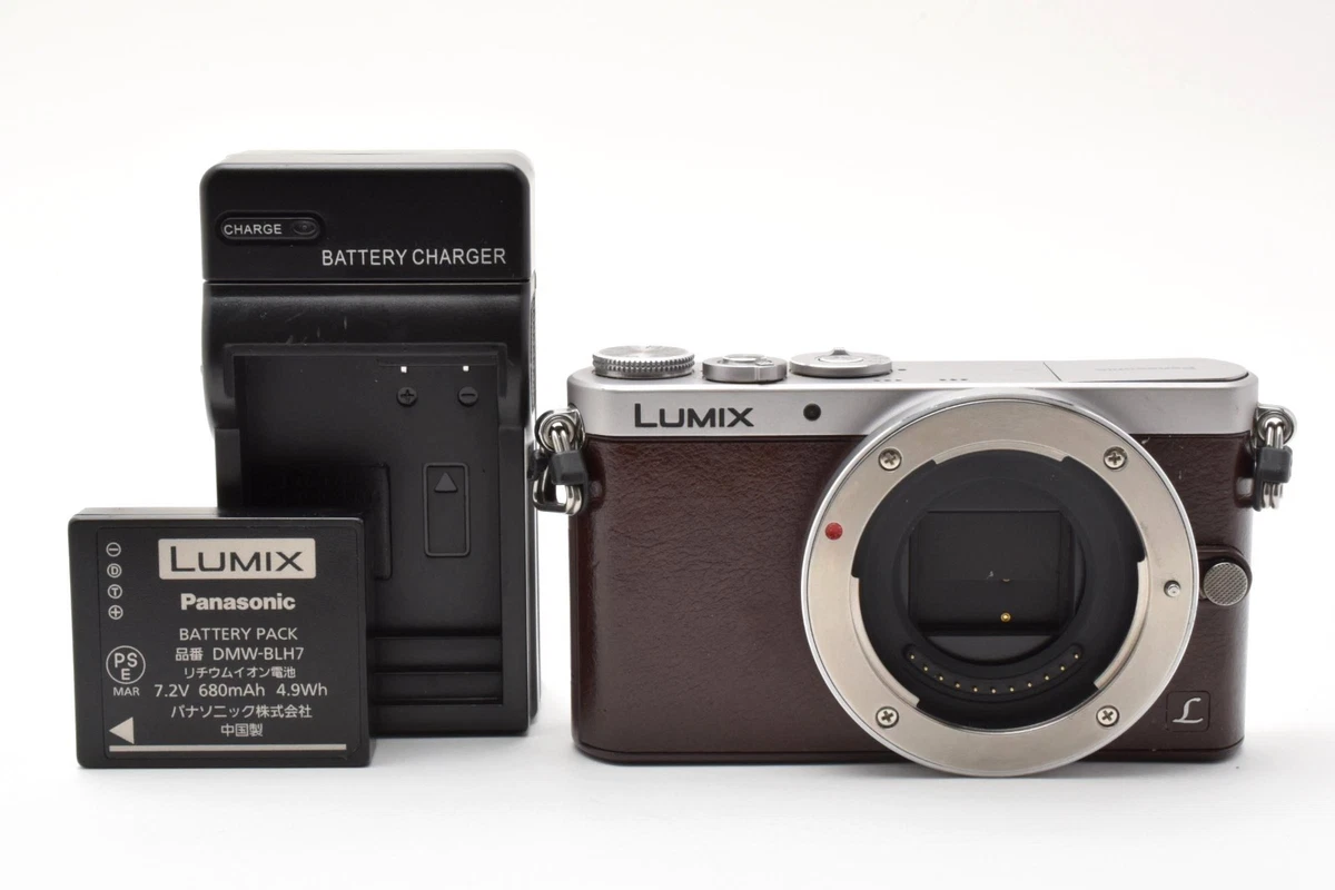 Panasonic LUMIX GM1 Digital Cameras | eBay
