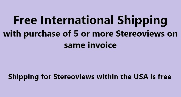 Varied Methods of travel an Ekka in Bombay India Underwood Stereoview c1900