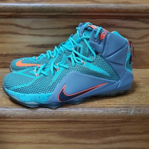 lebron 12 miami dolphins