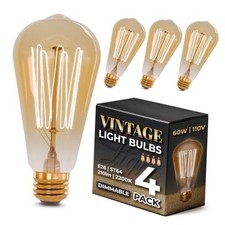 Incandescent Light Bulbs 60 Watt, 210 Lumens, 4 Pack ST64 Edison Bulbs