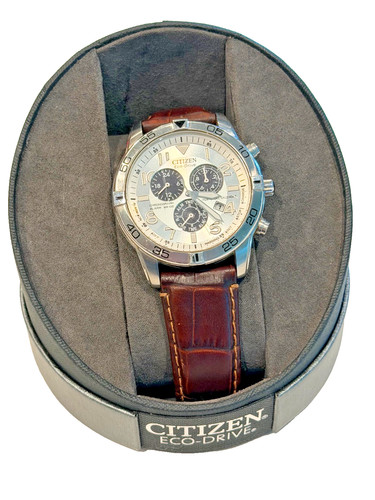 Citizen Eco Drive Perpetual Calandar Men's Watch Model E820-s080304 Leather Band