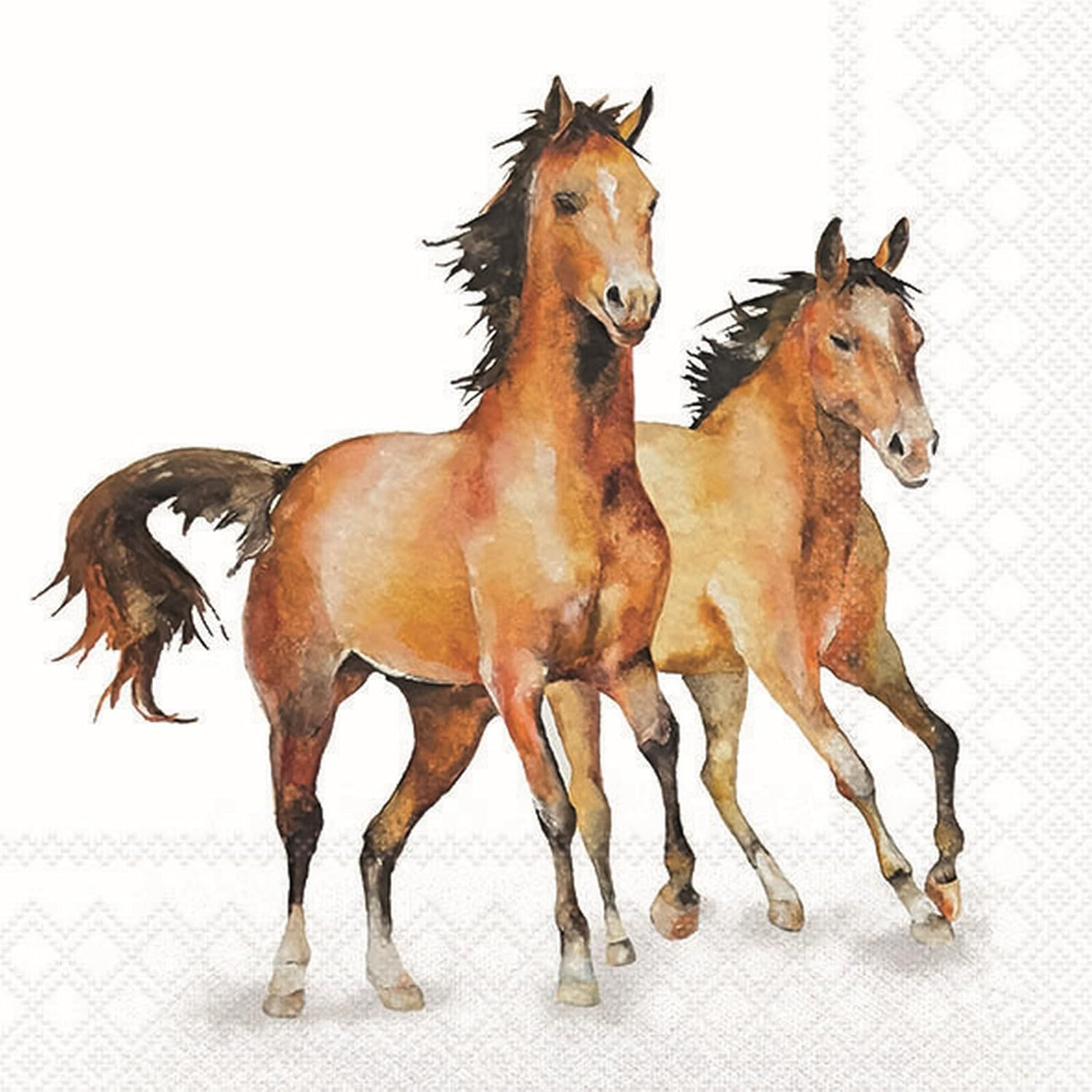 Horse Napkins Wild Horses Pony Equestrianl Party Paper 3ply Serviettes Decoupage