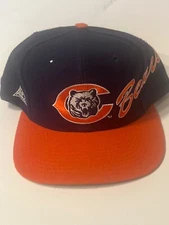 Vintage 90s NFL Apex One Chicago BearsWave SnapBack Hat Cap Pro Line