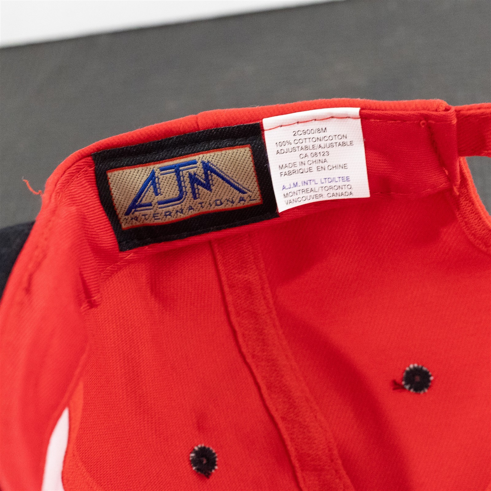 Phoenix Geophysics Strapback Hat Red - image 6