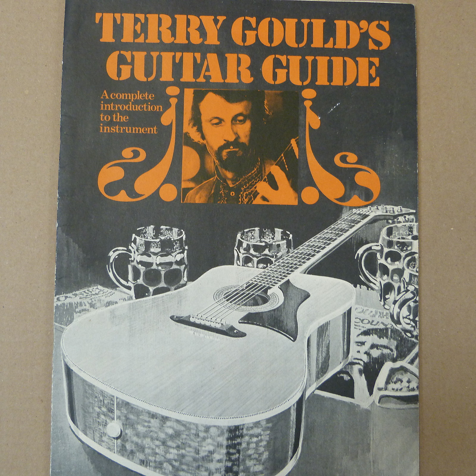 guitar TERRY GOULD's GUITAR GUIDE eBay
