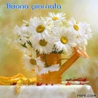 benvenuto80