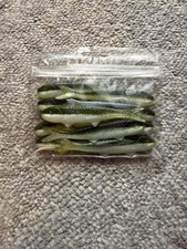 10 Original Banjo Replacement Minnows 4" in Avocado Shiner Lures Fishing System