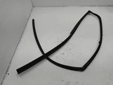 2016-2022 HONDA PILOT FRONT DRIVER SIDE DOOR WINDOW GLASS RUN CHANNEL SEAL OEM