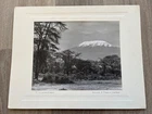 kilimanjaro - vintage large mounted photo signed by arthur h. firmin