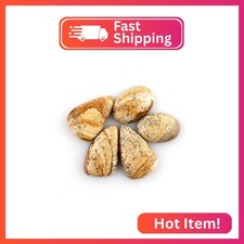 CRYSTALIS 5pcs, Size : 18-24mm, Natural Picture Jasper Loose Gemstone Wholesale