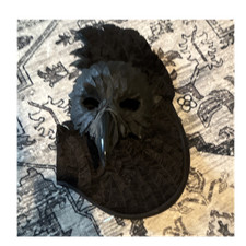 Black Bird Costume Set Adult Unisex Wings and Mask Birds  Animals Theme
