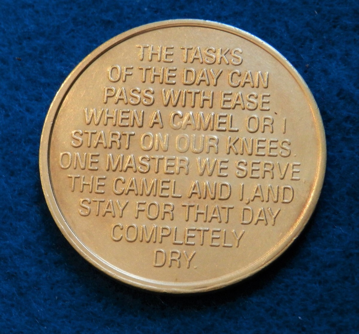 Camel and Pyramid - Recovery Token - Unique Design - See PICS