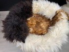 Bild 2 von 8