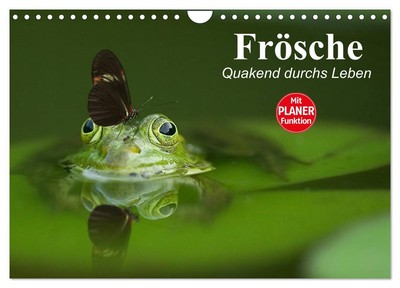 Frösche. Quakend durchs Leben (Wandkalender 2025 DIN A4 quer), CALVENDO Monatska