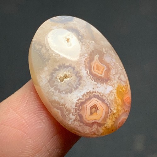 Natural Coral Fossil Cabochon 22x15x6mm High Quality 17 ct - Picture 5 of 7