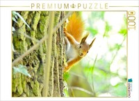 Calvendo Puzzle EichhöRnchen | 1000 Teile Lege-GrößE 64X48Cm Foto-Puzzle FüR Glü