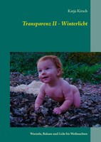 Katja Kirsch | Transparenz Ii - Winterlicht | Taschenbuch | Deutsch (2016)