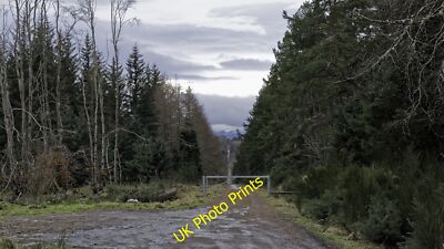 Photo 6x4 Track heading off into the woods Braefindon  c2015