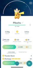 Pikachu Cake Hat Event - Pok mon GO Read Description 