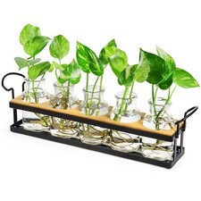 Plant Propagation Station with 5 Glass Jars, Retro Medium, Black   5 Tray