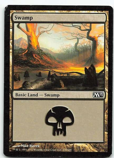 Swamp 239/249 Magic 2014 Common LP MTG