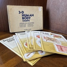 3D Human Body Charts Skeletal System EI-5220 Educational Insights 9x13  7 Items