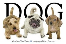 Dog - Hardcover By Van Fleet, Matthew - ACCEPTABLE