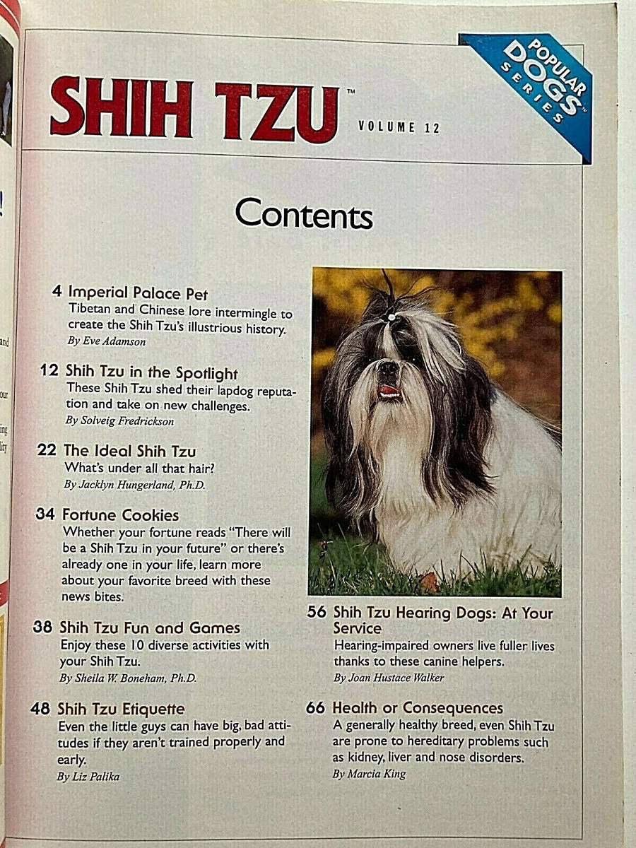 Shih tzu on sale popularity