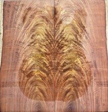 Telecaster Top Impiallacciatura Fiamma Palissandro Bookmatched Set Fornitura Liutaio