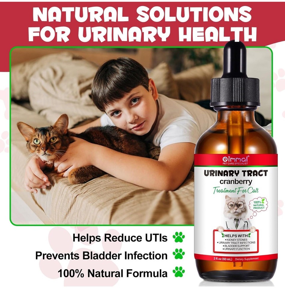 Fresh Look at Urinary Tract Infection Treatment For Cats