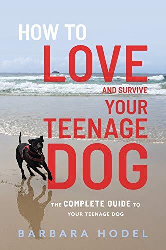 Thumbnail - Barbara Hodel How To Love And Survive Your Teenage Dog (taschenbuch)