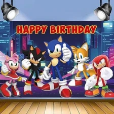 Sonic Hedgehog Birthday Party Banner (5x3)  (86JZ)