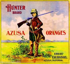 Azusa Los Angeles County Hunter #1 Orange Citrus fruit Crate Label Art Print