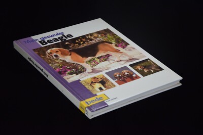 Mein gesunder Beagle von Paul Jordan